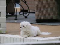IMG_9822.jpeg