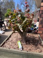IMG_0261.jpeg