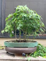 IMG_4590.jpeg