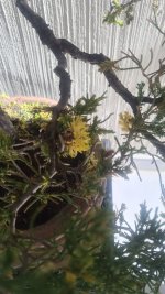 IMG-20250428-WA0010.jpg