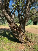 IMG_2898.jpeg