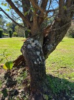 IMG_2901.jpeg