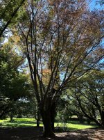 IMG_2909.jpeg