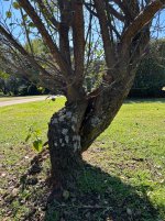 IMG_2900.jpeg