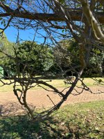 IMG_2903.jpeg