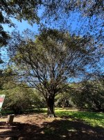 IMG_2905.jpeg