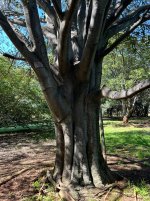 IMG_2906.jpeg