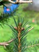 IMG_8860.jpeg