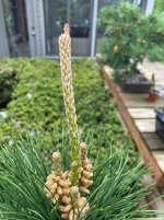 IMG_3088.jpeg