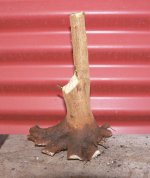 garden trident prune 08.JPG