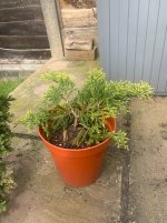IMG_1686.jpeg