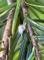 IMG_9610.jpeg