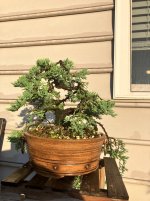 IMG_8773.jpeg