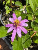 IMG_2637.jpeg