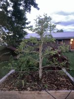 IMG_5294.jpeg