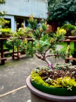 IMG_3374.jpeg