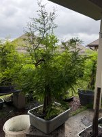 IMG_7838.jpeg