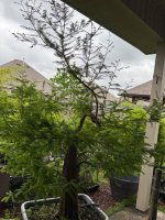 IMG_7839.jpeg