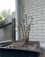 IMG_3972.jpeg