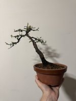 IMG_5571.jpeg