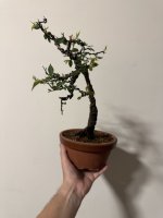 IMG_5572.jpeg