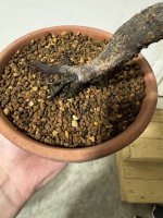 IMG_5573.jpeg