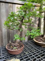 IMG_5012.jpeg