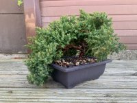 IMG_1816.jpeg
