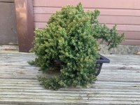 IMG_1817.jpeg