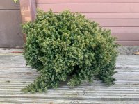 IMG_1818.jpeg