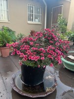thumbnail_IMG_3578.jpg