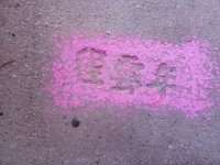 IMG_20250508_200900.jpg