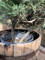 IMG_1605.jpeg