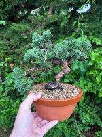 IMG_5065.jpeg