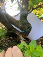 IMG_1841.jpeg