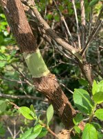 IMG_1857.jpeg IMG_1857.jpeg