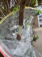 IMG_1860.jpeg IMG_1860.jpeg