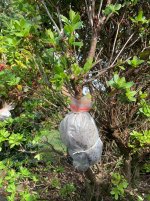 IMG_1866.jpeg