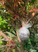IMG_1865.jpeg