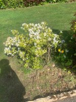 IMG_1790.jpeg