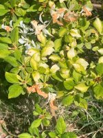 IMG_1855.jpeg IMG_1855.jpeg