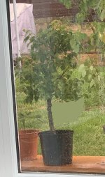 IMG_1882.jpeg