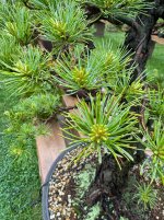 IMG_1600.jpeg