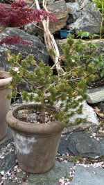 IMG_4265.jpeg