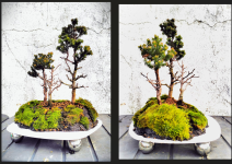 Captura de pantalla 2025-05-22 195906.png