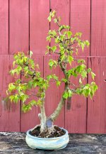 IMG_4518.jpeg