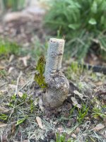 IMG_1996.jpeg