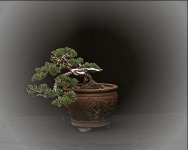 IMG_0002_pep_pep.jpg