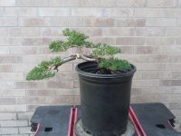 IMG_0038 2.JPG