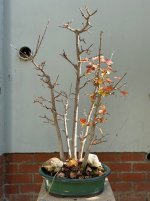 IMG_3136.jpeg